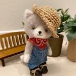 猫ちゃん