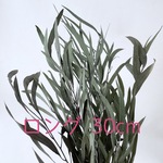 ユーカリニコリ・ロング30cm＊パウダーグリーン☆送料無料＆2点毎に500円商品1点おまけ付き♡