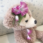 犬用❤︎朝顔のヘッドドレス❤︎おリボンのお色パープル