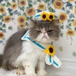 🚢ひまわり水兵さんセット🌻　白✨