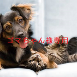 ゴマちゃん様専用