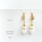pierce/earring.713