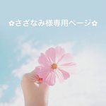さざなみ様専用ページ✿︎