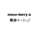 専用ページ