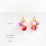 pierce/earring.748