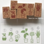 観葉植物の6点セット