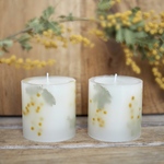 小さな可愛さ ミモザ miniボタニカルキャンドル