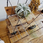 chako様専用　オーダー品