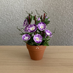 朝顔　2　花鉢　