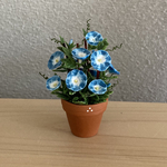 朝顔　4　花鉢　