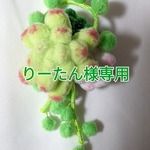 【りーたん様専用】