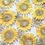 ✿夏季限定✿押し花セット＜カナリアイエロー＆ゴールド＞