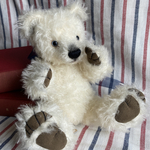 白のテディベア