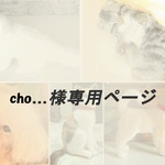 cho…様羊毛フェルト作品専用ページ