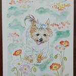 【kuu080420様オーダー品】愛犬イラスト