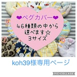 koh39様専用ページ(ペグカバー)