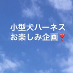 お楽しみ企画❣️(SS・S・Mサイズ)