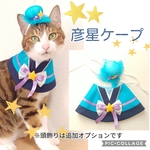 彦星ケープ
