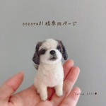 ＊オーダー品＊手乗りうちの子　大空ちゃん🐾