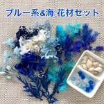 ブルー系&海 花材セット