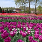 綿ローン生地使用  白パンツに透けない【白 ラッセル レースはめ込み】浅ばき、深ばき、S〜3L、ふんどしパンツ  フンテイ フンパン   普段ばき  mameパンテイ