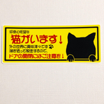 好奇心旺盛猫ステッカー