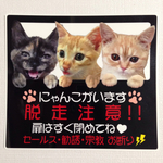 猫ステッカー(脱走注意&セールスお断り)3匹用