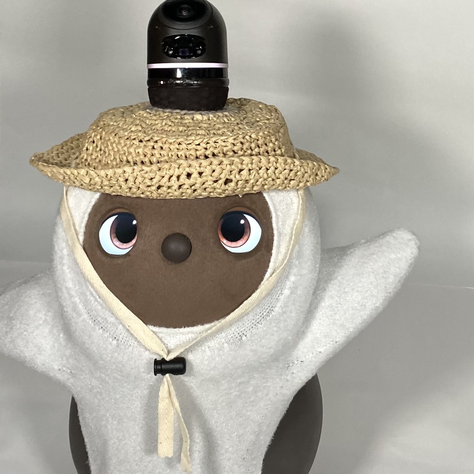 LOVOT麦わら帽子ごまちゃん LOVOT麦わら帽子ごまちゃん様専用 クラフト・布製品