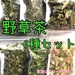 薬草茶6種セット