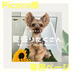 Picoro様専用ページ