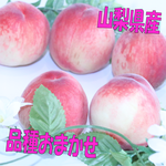 【4㎏】朝採れ桃　品種おまかせ（ちよひめ、はなよめ、日川白鳳、なつっこ、加納岩）