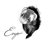 🍤🐹愛フェレちゃんの半身スケッチ🐹🎨