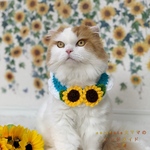 青空向日葵のスタイ🌻✨