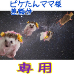 こちらはピケたんママ様差額分です