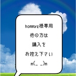 ★【hommyz様専用】★