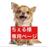 専用ページ