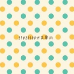 29020100さま専用ページ