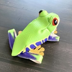 アカメアマガエルポーチ②