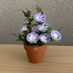 朝顔　11   花鉢　