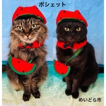スイカポシェット、猫ちゃんの首輪