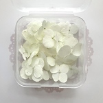 【セール‼️】数量限定＊【19】＊紫陽花アナベルドライフラワー