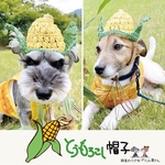 とうもろこし🌽帽子