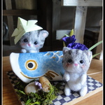 ＊端午の節句　鯉のぼり×ねこちゃん親子　五月人形　＊