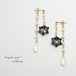 【ご予約品】edelweiss*　ピアス