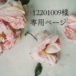 12201009様専用ページ