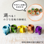 選べる！小さな恐竜の鉢植え　サボテンの品種はおまかせ　多肉植物　インテリア　在宅ワーク　