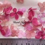 再販☆ﾌﾟﾘｻﾞｰﾌﾞﾄﾞﾌﾗﾜｰ☆紫陽花花弁50枚☆ﾍﾞﾘｰｶﾗｰｾｯﾄ☆