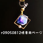 r09050812様専用