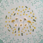 押し花素材651　小花のセット　花材　ミックス