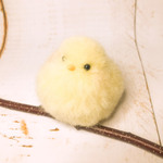羊毛ひよこ（小）